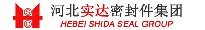 河北实达密封件集团